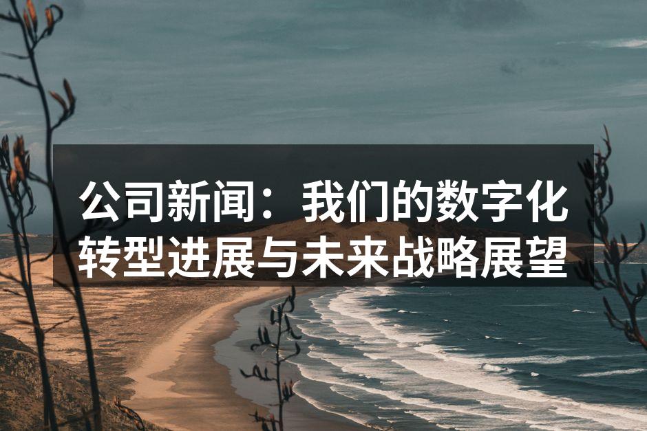 公司新闻：我们的数字化转型进展与未来战略