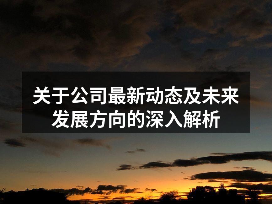 关于公司最新动态及未来发展方向的深入解析